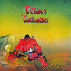 trion - tortoise